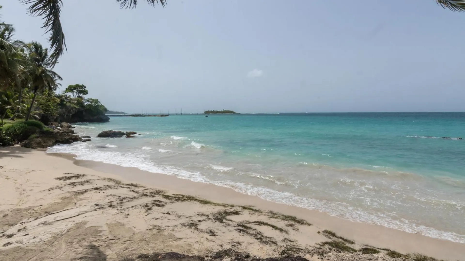 Studio Charmant Avec Vue Sur La Mer A Le Gosier 42 M² Terrasse
